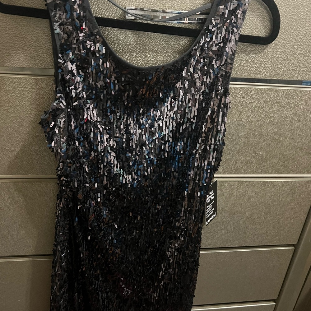 Express Black Sequin Dress